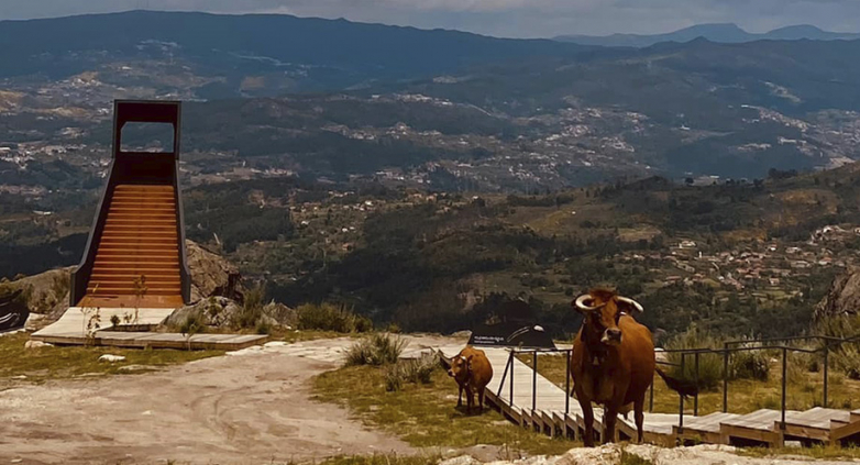 Marcelim – Uma Janela para o Mundo
